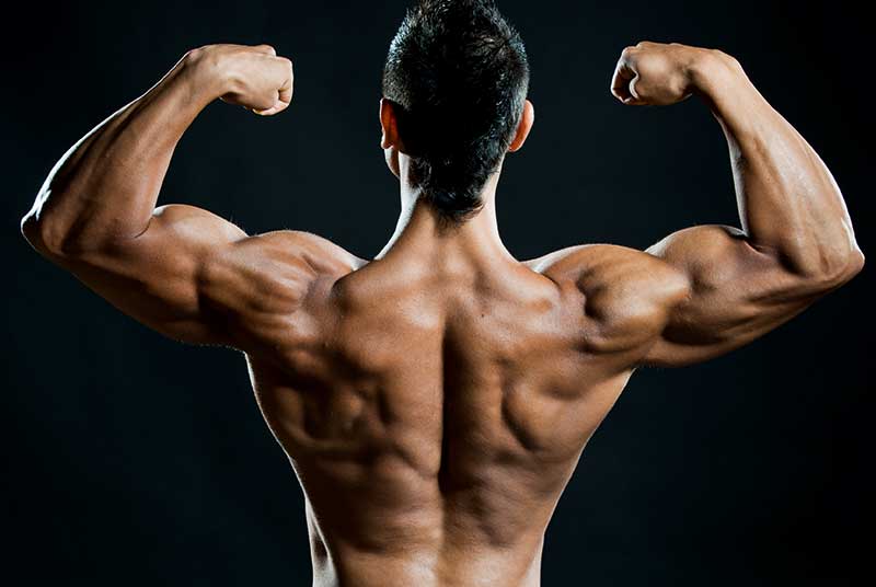 steroids for bodybuilding